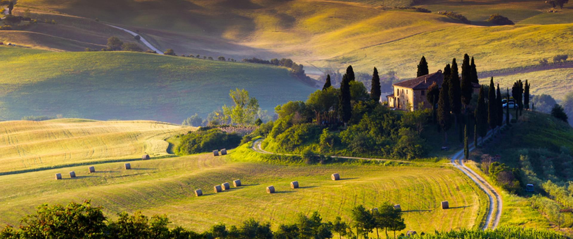 Vineyards in Tuscany