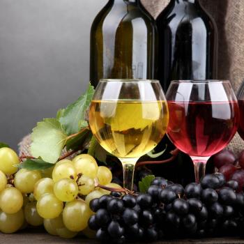 degustazione vino cascina serra