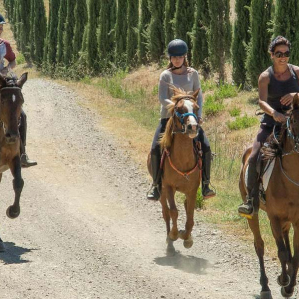 Horse riding in Maremma for 1 h, half day or full day with lunch
