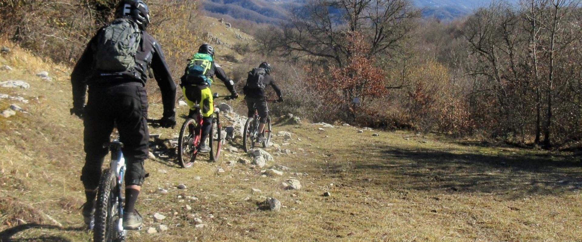 Guided Biking experience in the land of Giacomo Puccini