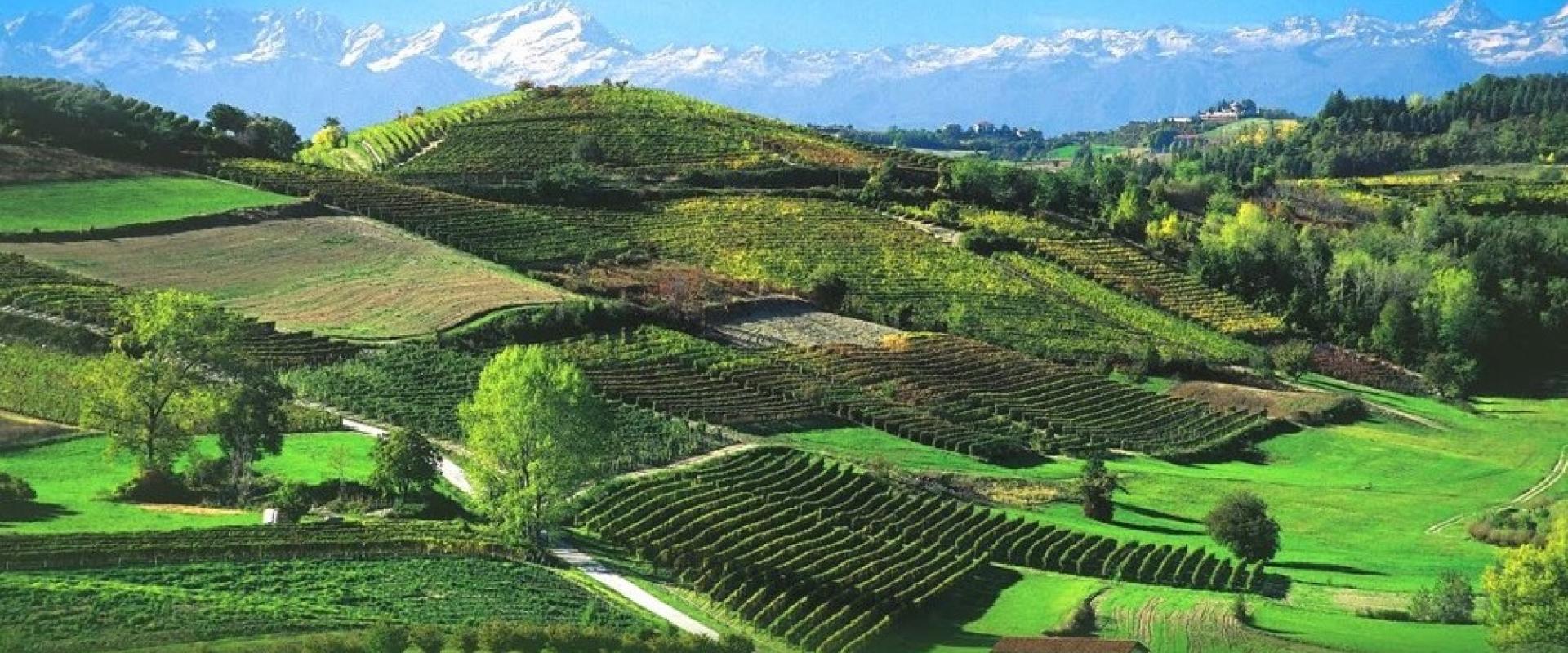 Langhe