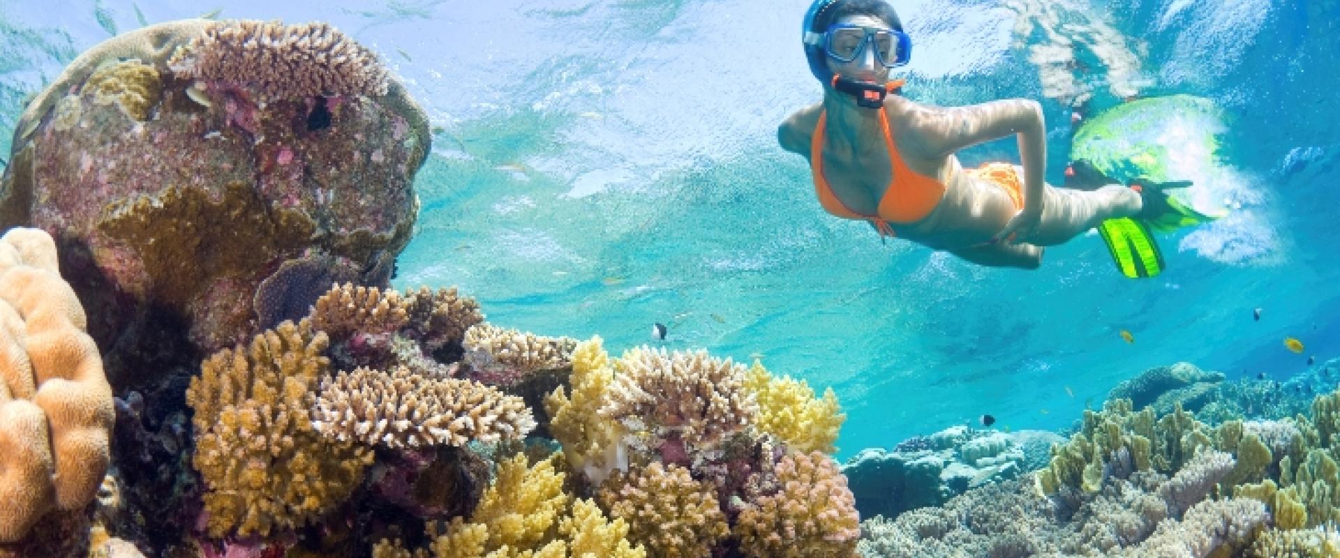 Snorkeling in the gulf of Poets