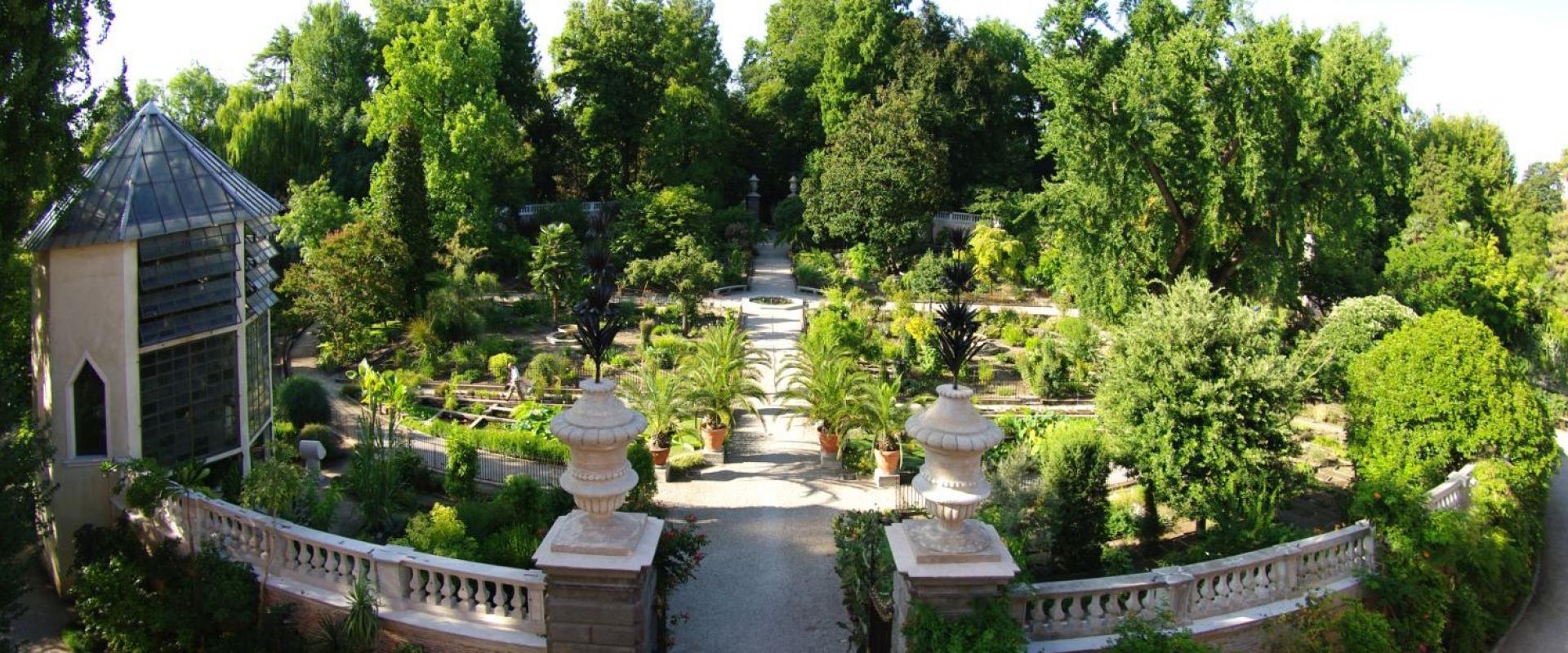 tour of the botanical garden of Padua