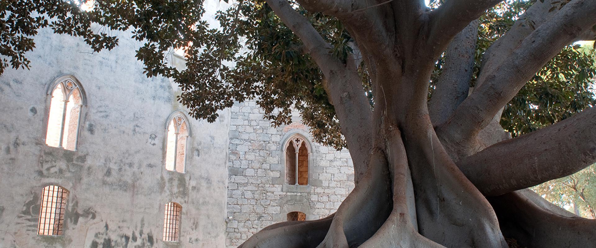 Visit of Donnafugata castle