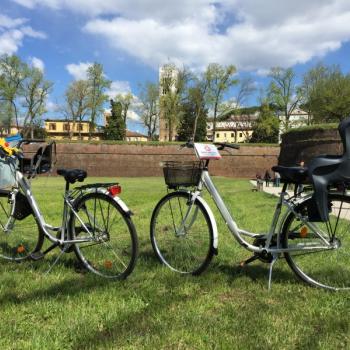 Guided Cycling experience through Lucca countryside 