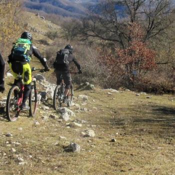 Guided Biking experience in the land of Giacomo Puccini